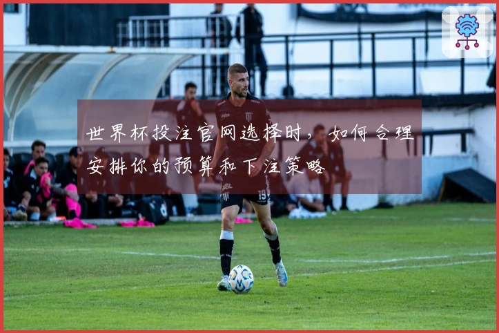 世界杯投注官网选择时，如何合理安排你的预算和下注策略