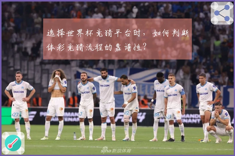 选择世界杯竞猜平台时，如何判断体彩竞猜流程的靠谱性？