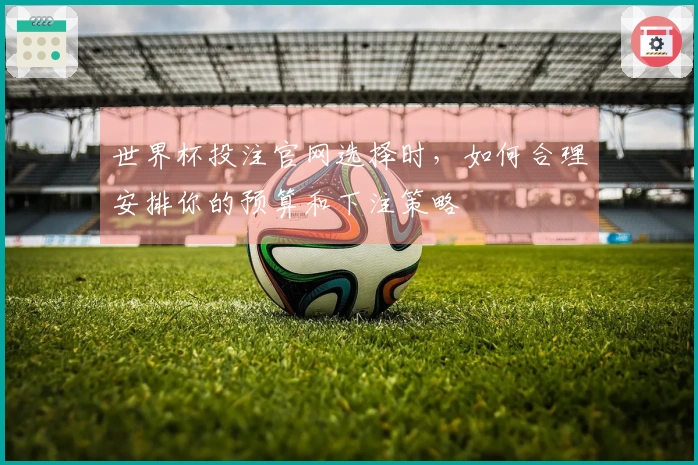 世界杯投注官网选择时，如何合理安排你的预算和下注策略