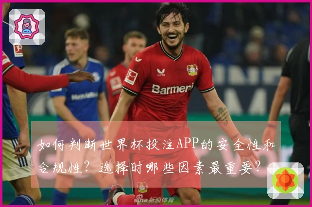 如何判断世界杯投注APP的安全性和合规性？选择时哪些因素最重要？